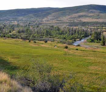 FREESTONE RIVER RANCH ACREAGE Acreage: Freestone River Ranch is comprised of 122 deeded acres of lush meadows bordered by the Upper Provo River with its healthy cottonwood tree