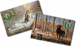 One-hundred percent of hunting and fishing license fees go to support wildlife conservation in Tennessee.