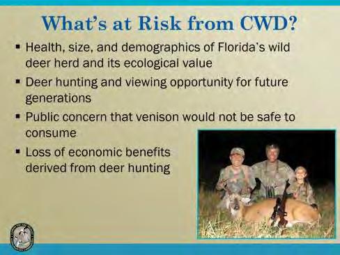 What is at risk to Florida?