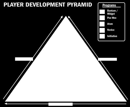 Section 3: Rationale for Intro to Hockey Programming FUNdamentals 1 Ages 5-6 Initiation Program The ultimate concentration of this age group is on the development of physical literacy.