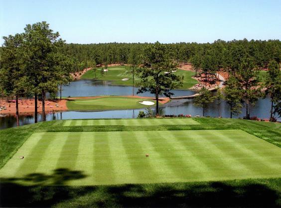 at some of the more prestigious courses in the Augusta area including: The River Champions Retreat Westlake Country Club SAGE VALLEY OPTIONAL ADD ON: Sage Valley Golf Club is a private national