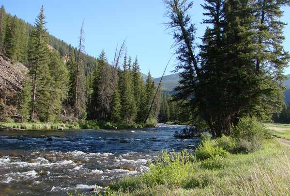 Crystal Creek on the Taylor River CRESTED BUTTE,