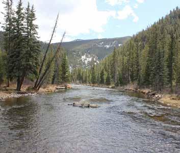 Acreage: Crystal Creek is comprised of approximately 400 acres surrounded in its entirety by the White River National Forest, at an