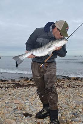 David Wratchford grew up on Long Island and lived for quite a while in Montauk where every year these fish round the point on their migration.