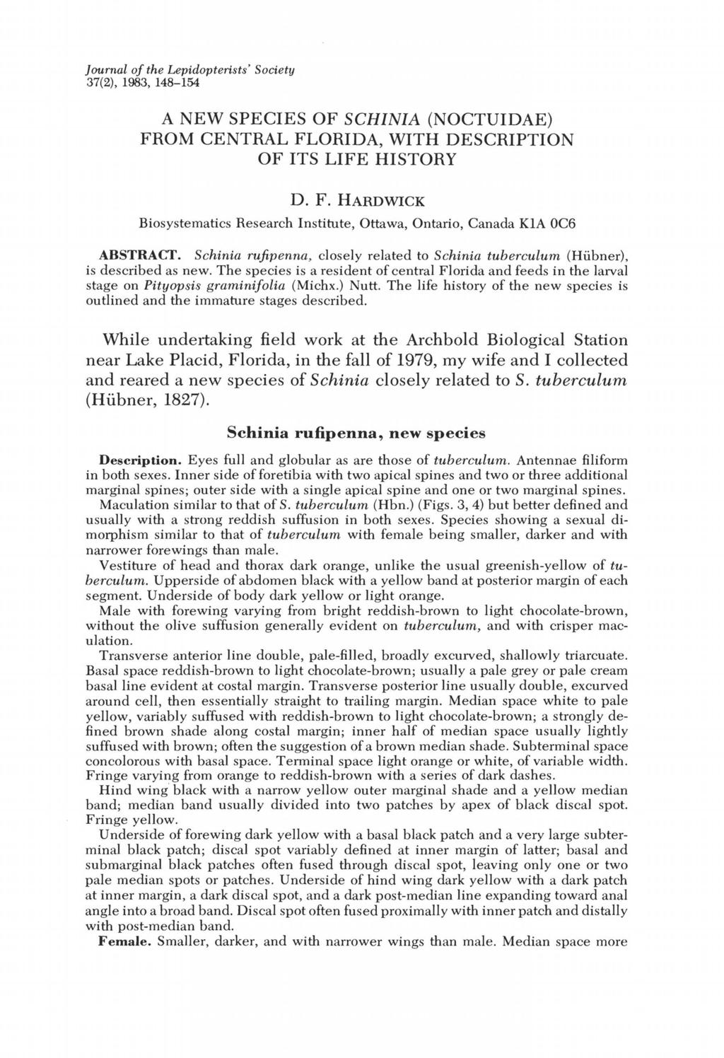Journal of the Lepidopterists' Society 37(2), 1983, 148-154 A NEW SPECIES OF SCHINIA (NOCTUIDAE) FROM CENTRAL FLORIDA, WITH DESCRIPTION OF ITS LIFE HISTORY D. F. HARDWICK Biosystematics Research Institute, Ottawa, Ontario, Canada KIA OC6 ABSTRACT.