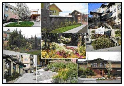 Figure 6. A variety of garden type landscaping configurations and designs that would be appropriate for areas between the sidewalk and a building on a pedestrian-oriented street.