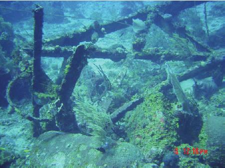 The State of Coral Reef Ecosystems of Marine Debris There is a small amount of marine debris (large tanks, metal debris) leftover from earlier mining activities on the Island (Figure 6.