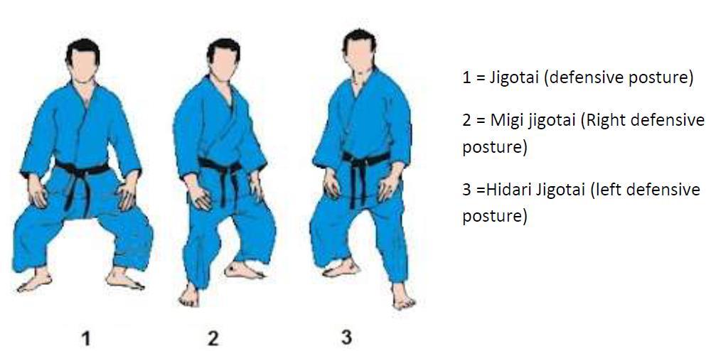 Terminology: Haiso Ashi Ashikubi Instep of foot Leg or foot