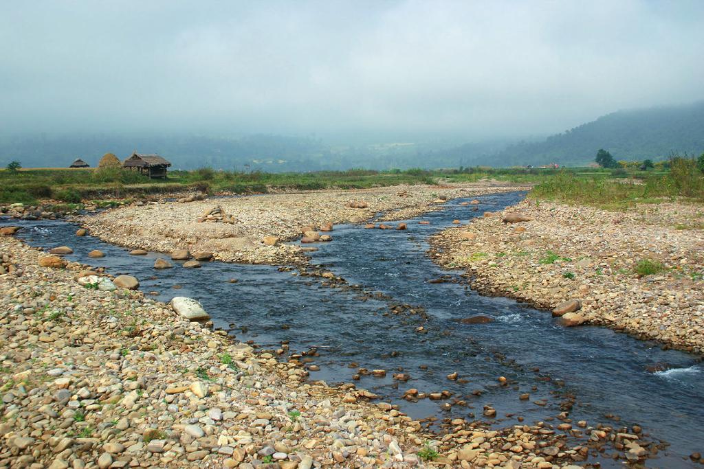 10 Fig. 7. Myanmar: stream Nam Paw at Hsipaw, type locality of Pteronemacheilus lucidorsum; looking upstreams and to the west. Photo R. Hoyer. Literature cited Bânârescu, P. & T. Nalbant. 1995.