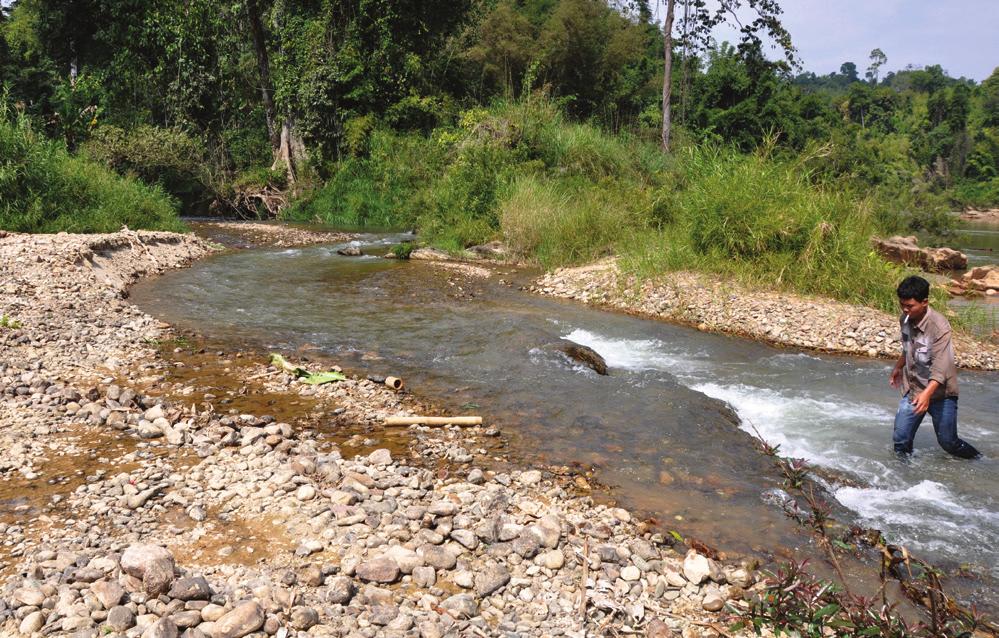 RAFFLES BULLETIN OF ZOOLOGY 2017 Fig. 14. Nam Khai, Nam Ngiep drainage, Saysomboune Province, Laos; type locality of Schistura musa; 30 January 2014. Fig. 13. Schistura musa, CMK 24319, 29.