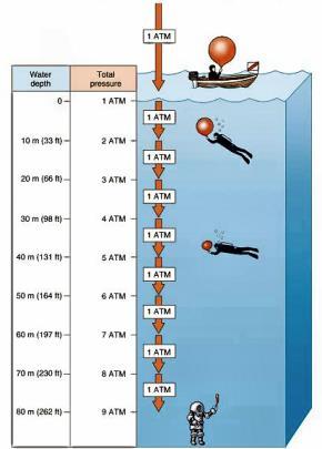 Pressure Increases one atmosphere for every 10 meters depth 1 atm = 14.