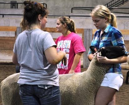 STATEWIDE NEWS AREA 2017 Michigan 4-H State Goat Show This exciting, hands-on opportunity presented by Michigan State University (http://www.msu.edu) Extension (http://msue.anr.msu.edu) 4-H Youth Development (http://msue.