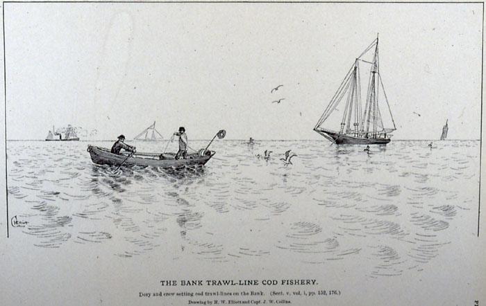 The Bank Fishery By 1860, the Labrador fishery was declining.