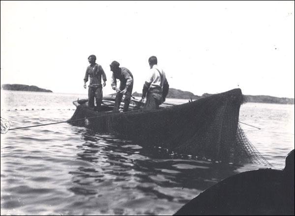 Cod was caught on baited hooks that were lowered into the ocean on weighted