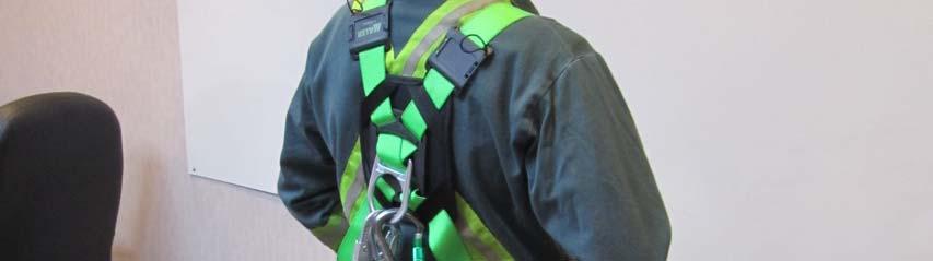 The Carabiner of the extension strap is attached to the