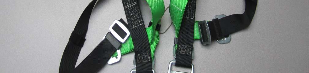 There are 2 D rings on each side of the harness in