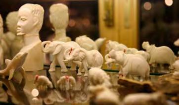 Increase in demand in Asia Ivory: Rising demand especially in China