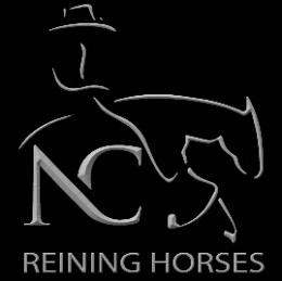 Reining Futurity 3YO Open Champion, New Tradition Futurity 3YO Open Reserve Champion; NRHA 9 Million Dollar Sire, NRHA Hall Of Fame, 2017 Equi-Stat #1 Reining Leading Sire and #2 All Time Reining