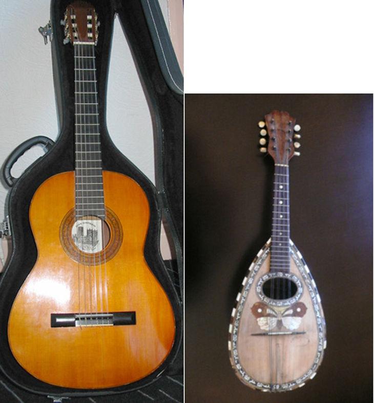 Stringed instruments such as guitars etc.