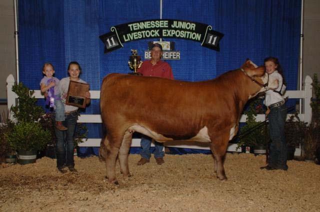 Blythe Graham, Cumberland Champion Bred by Exhibitor: 206, Allison Higgins, Cannon Reserve