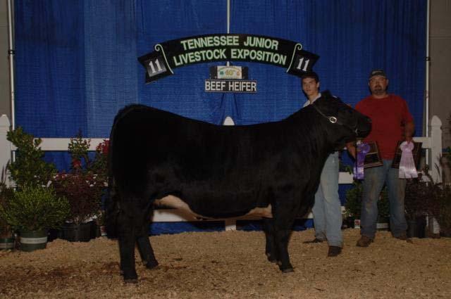 CJ Schoolfield, Henry Reserve Champion Bred by Exhibitor: 209, Colton Dotson, Lincoln Grand