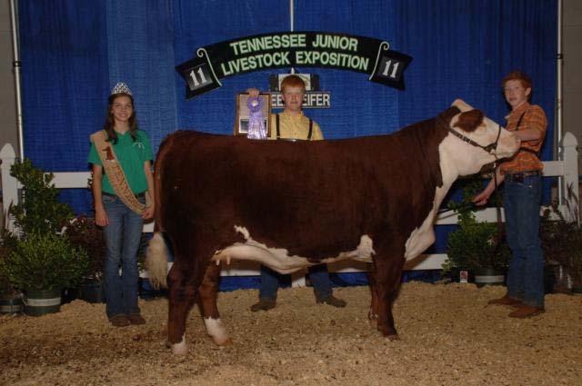 Polled Hereford (Animals Shown: 44, Bred by Exhibitor: 9): Grand Champion: 123, Nathan
