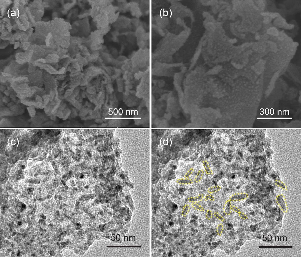 Figure S1. (a, b) The SEM images of G FP@C-NA with different scale.