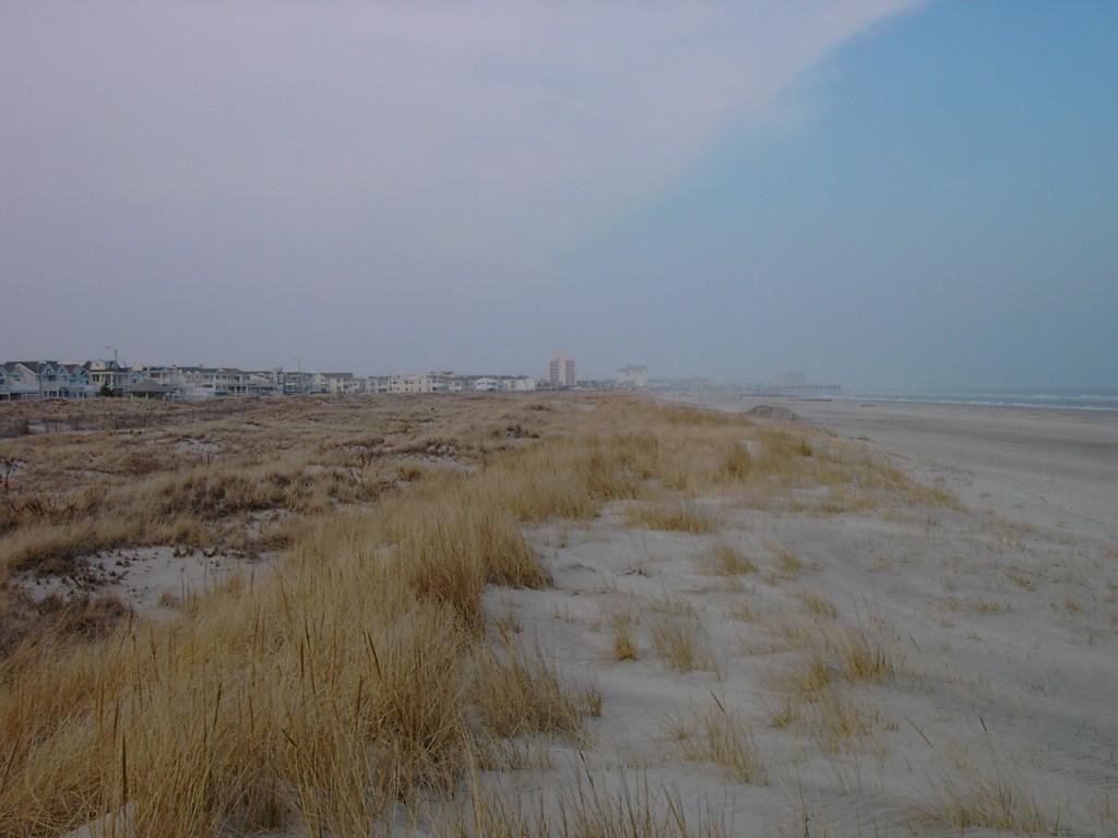 Dunes at Ocean City. Photo by Karl Nordstrom. These dunes did not exist in 1990. If you look carefully, you can make out four ridges.