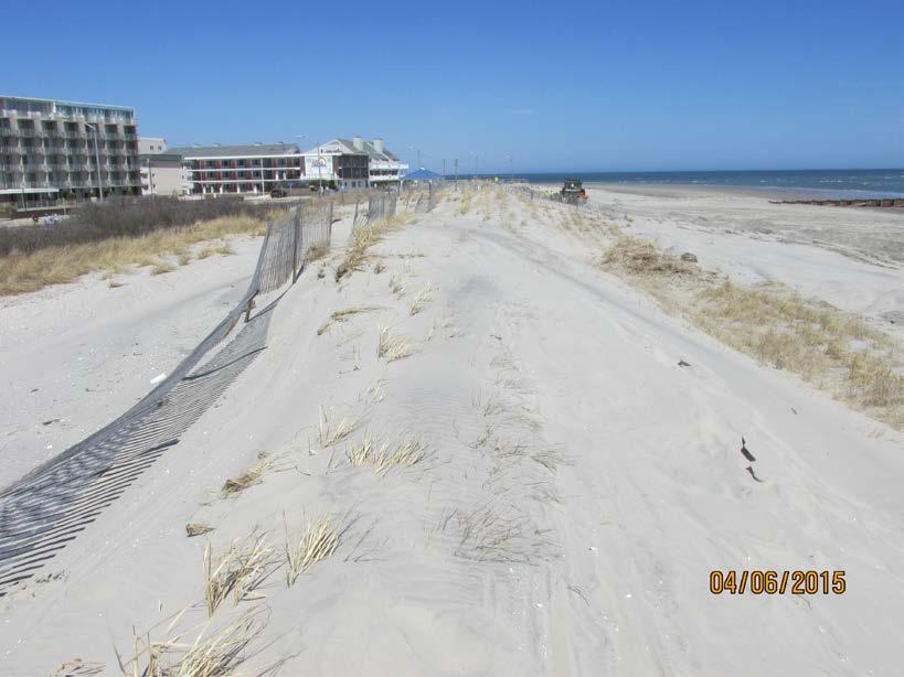 From November 2013 to November 2014 the shoreline remained virtually unchanged while below datum gains of 8.81 yds 3 /ft. were recorded. Figure 6.