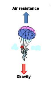 Other examples A man falling with a parachute has two forces on him Gravity pulls him down. Air resistance pushes up. If the man is falling at a steady speed then these two forces must be the same.