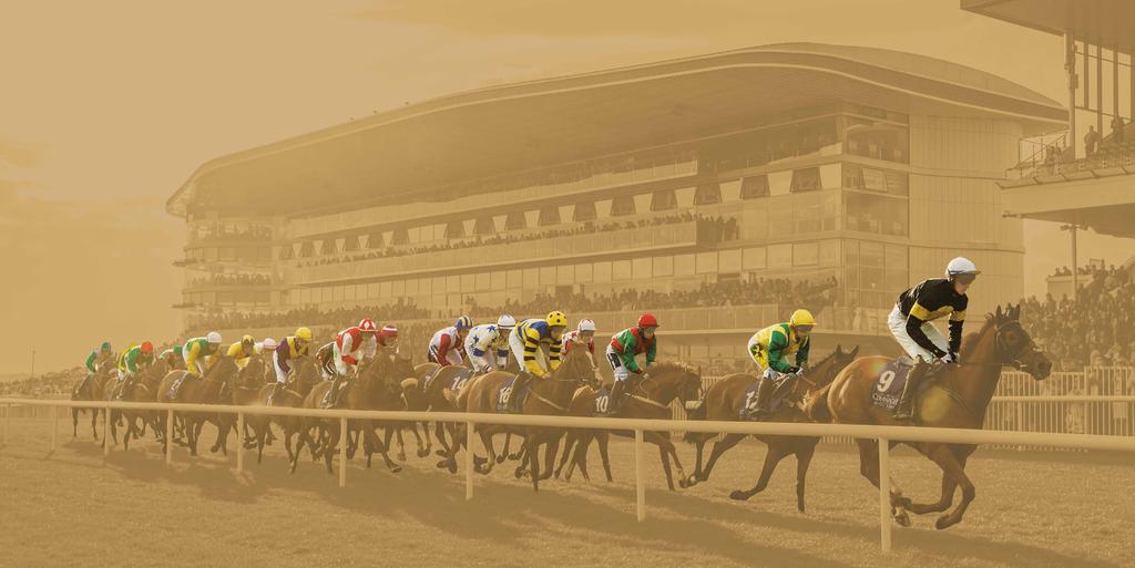 The Galway Races has had a long and exciting history and has become what is now one of the most famous tracks in the world.