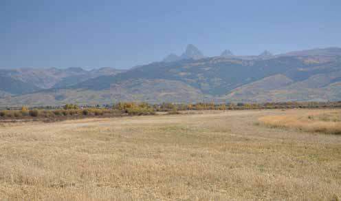 Location: Woods Creek Ranch is located in Teton Valley, Idaho, on the quiet western side of the famous Teton Mountain Range.
