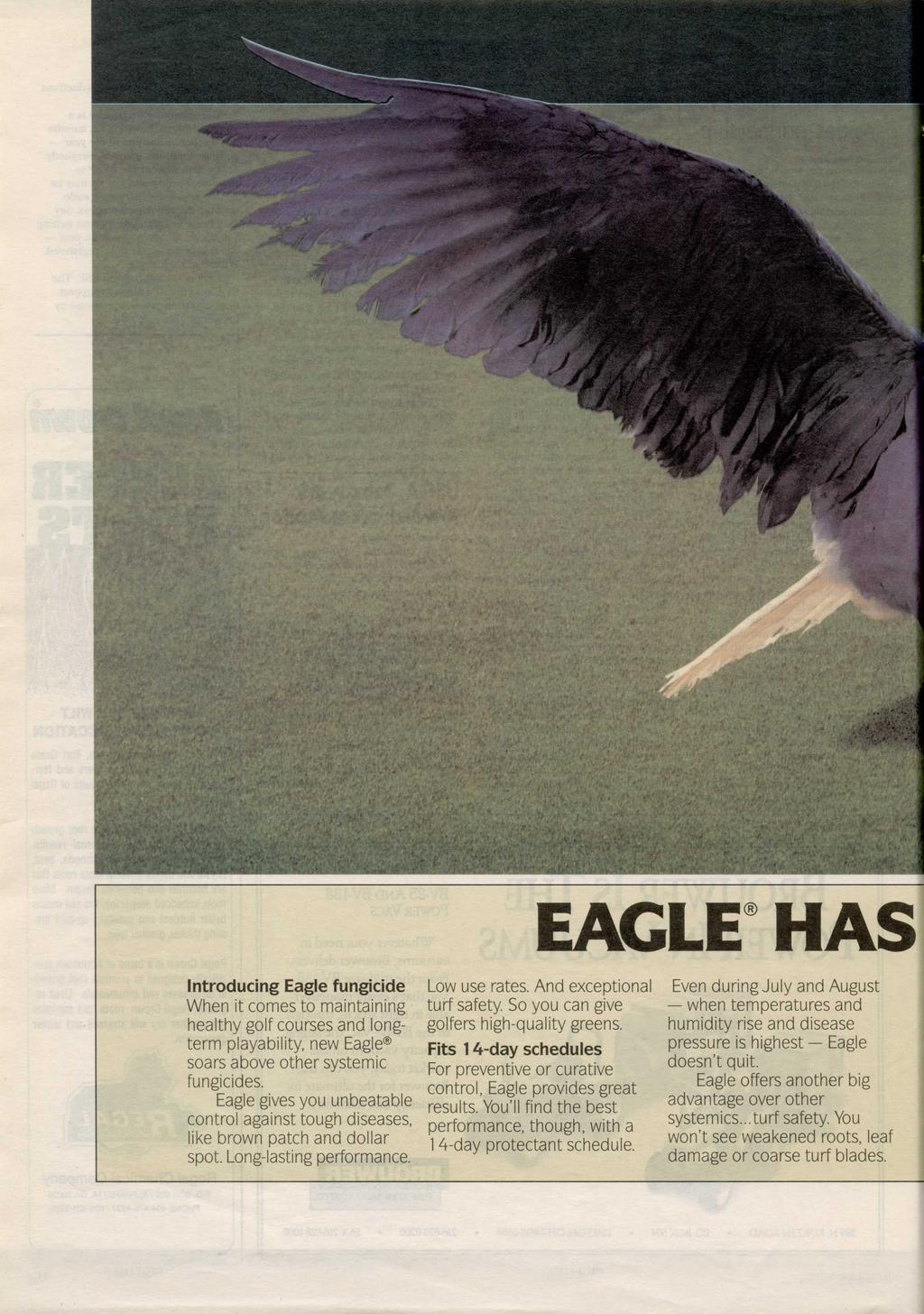 EAGLE HAS Introducing Eagle fungicide When it comes to maintaining healthy golf courses and longterm payability, new Eagle soars above other systemic fungicides.