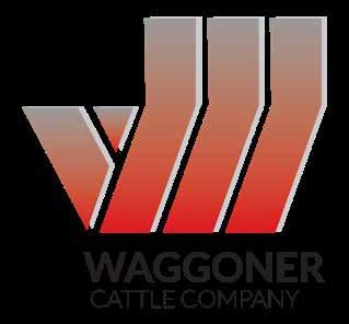 Waggoner s personal involvement in the purebred livestock industry began at an early age and the desire to breed outstanding seedstock has only strengthened with each new calf crop.
