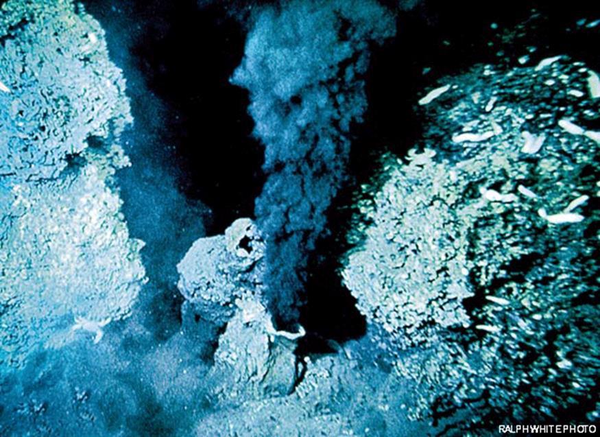 Hydrothermal vents primary production is done by a type of extremophile, that is, a type of microorganism that can thrive under extreme env.