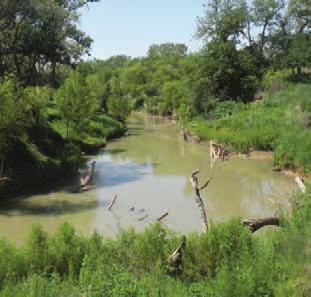 Great for recreation, hunting, cattle, horses, or just a close getaway!! Lot s of turkey & deer!