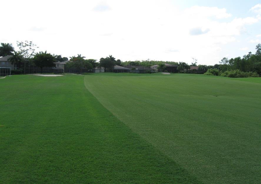 #10 Sabal #14 Green Sabal Both courses recently received wall to wall application of a product called Chipco Choice for mole