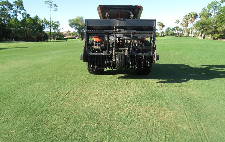 Damage can not only be discouraging to golfers but can also result in large expense for sod to replace damaged turf areas.