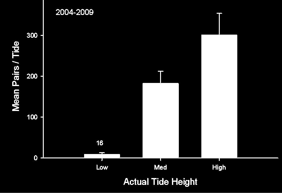 Effect of Tides: More spawning