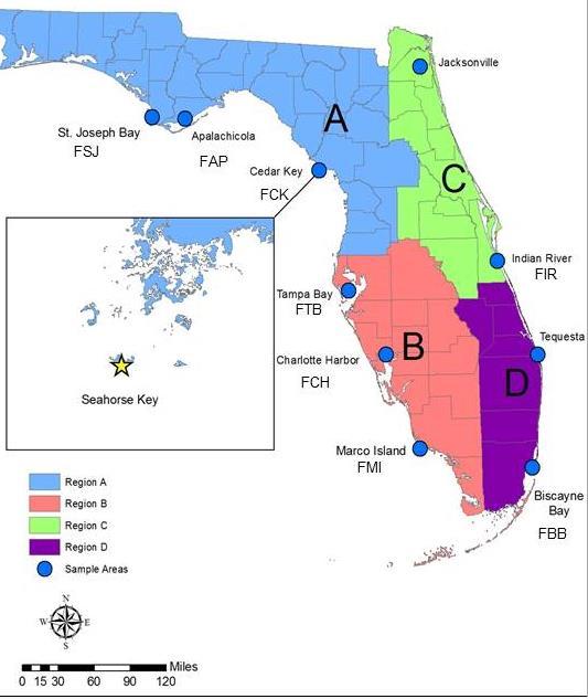 5 genetically distinct populations of horseshoe crabs in Florida (From