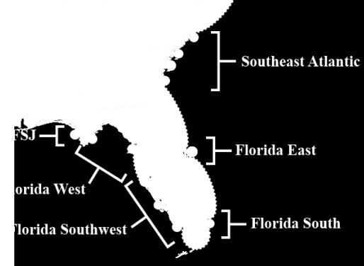 Florida has at least 5 genetically distinct populations of horseshoe crabs Based on neighboring joining trees using 13 highly variable microsatellites and analyses