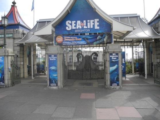 SEA LIFE Brighton: Access Statement May 2015 INTRODUCTION The SEA LIFE Centre is situated in the heart of Brighton right next to Brighton Pier.