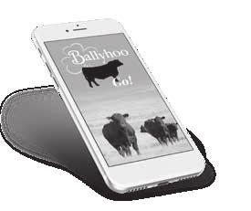 download links and tips The catalog on your phone that s always in your pocket! and more all within Ballyhoo Go!