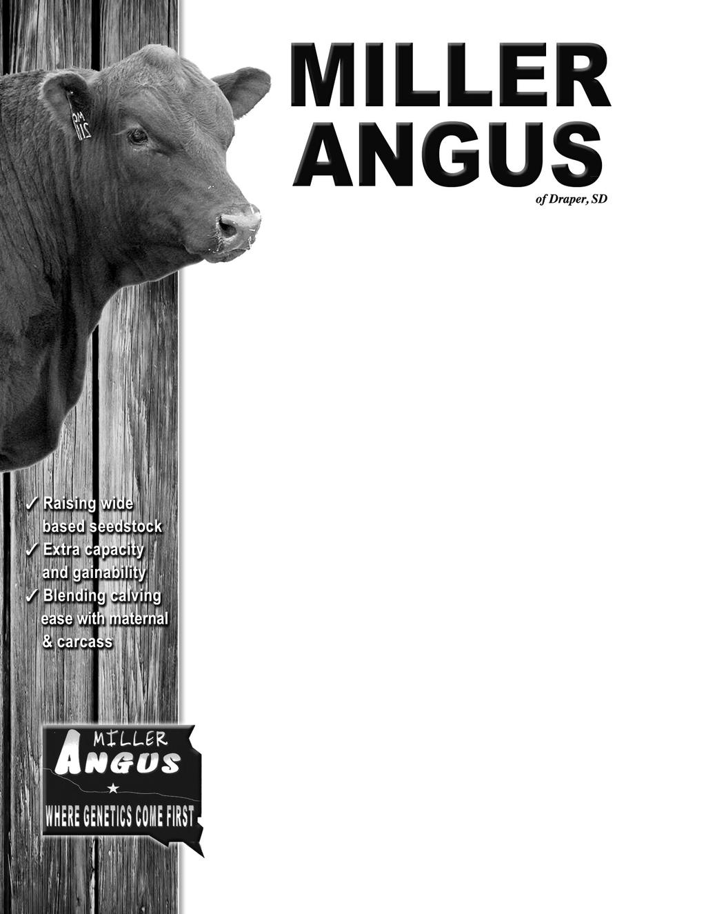 34 rd Annual Angus Bull Sale Monday, April 4, 2016 1:00 p.m.