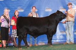 She then went on to be selected as a Reserve Grand Champion Female of the 2006 Ozark Empire Fair.