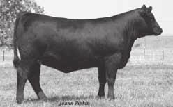 Clearwater Forever Lady Family Clearwater Forever Lady 1002 She sells as Lot 9.