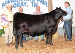 41 Blackbird 1705 blends the female sire, Payweight 1682 with a powerful and proven dam combining the Select Sires roster member, Grid Maker and the legendary female sires, EXT and Traveler 6807.