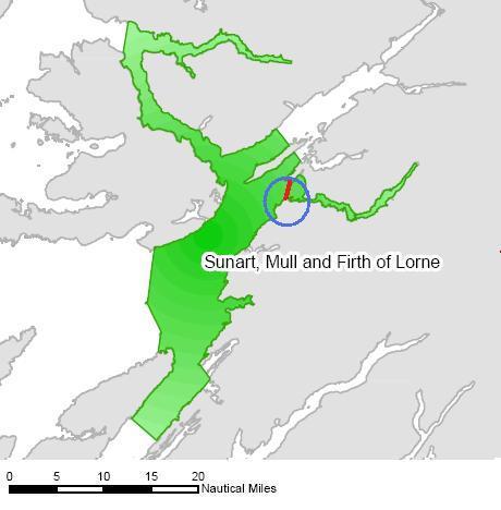 Loch Etive, Argyll Nature Conservation MPA Proposal based on the Priority Marine Feature Spurdog Squalus acanthius. 1.