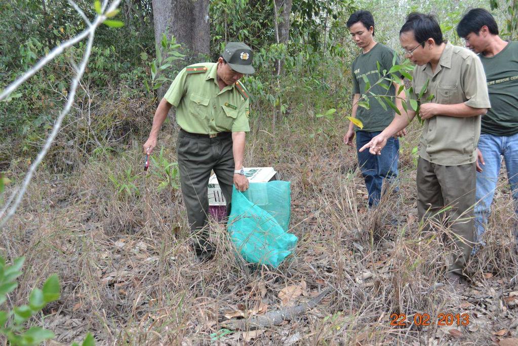 Enforcement Rescue and release In this quarter, 51 individuals of 10 endangered wildlife species were rescued including Leopard Cat, Pygmy Loris, Smallclawed Otter, Large Indian Civet, Asian Palm
