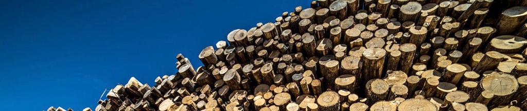 Logs & Lumber Percentage of Sales Sales Organic Sales $101M $120M +$19.1M +18.9% 6.4% 2016 +18.